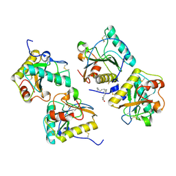 BU of 4fnn by Molmil