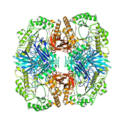 BU of 4fnp by Molmil