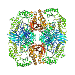 BU of 4fnr by Molmil