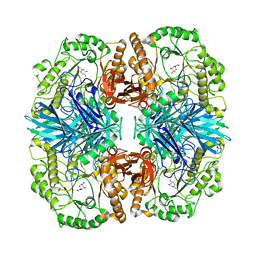 BU of 4fns by Molmil