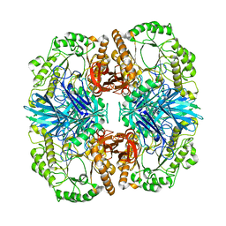 BU of 4fnt by Molmil