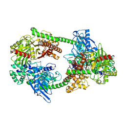 AU of 4fpa by Molmil