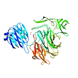 BU of 4fpe by Molmil