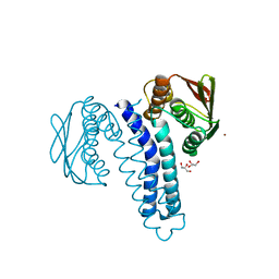 BU of 4fpp by Molmil