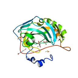 BU of 4fpt by Molmil