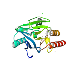 BU of 4fsb by Molmil