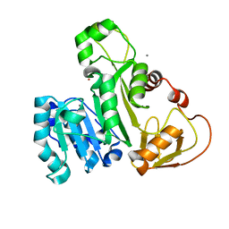 BU of 4fsd by Molmil