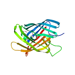 BU of 4fvs by Molmil