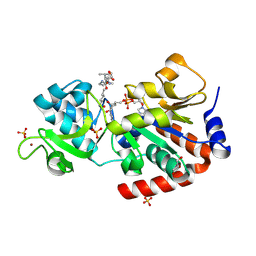 BU of 4fvt by Molmil