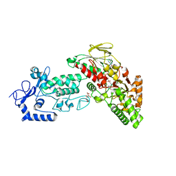 BU of 4fwe by Molmil