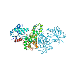 BU of 4fwp by Molmil