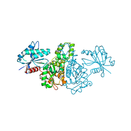 BU of 4fwr by Molmil