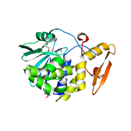 BU of 4fxa by Molmil