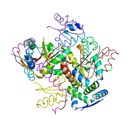 BU of 4fxe by Molmil