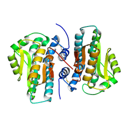 BU of 4fyp by Molmil