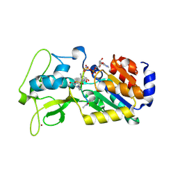 BU of 4g1c by Molmil