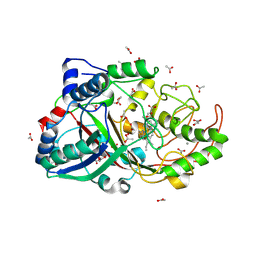 BU of 4g2c by Molmil