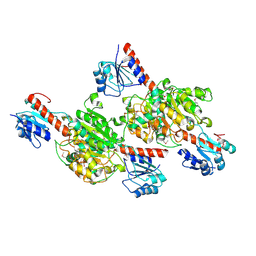 BU of 4g2n by Molmil