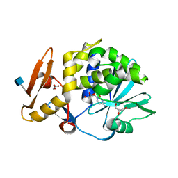 AU of 4g2x by Molmil