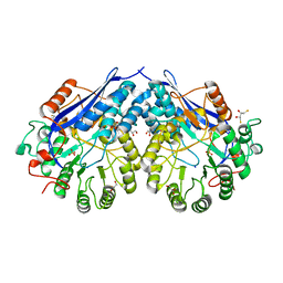 BU of 4g8t by Molmil