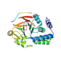 BU of 4g9j by Molmil