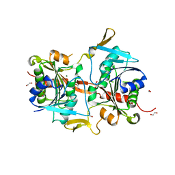 BU of 4g9o by Molmil