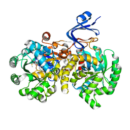 BU of 4gbd by Molmil