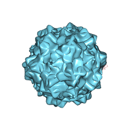 BU of 4gbt by Molmil