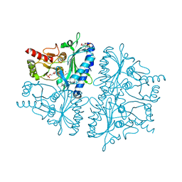 BU of 4gbv by Molmil