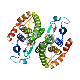 BU of 4gci by Molmil