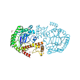 BU of 4gcx by Molmil