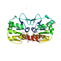 AU of 4gdh by Molmil