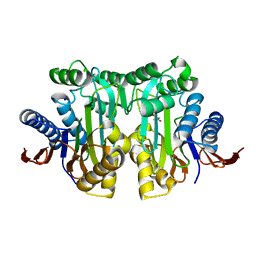 AU of 4gdt by Molmil