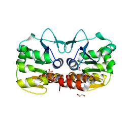 BU of 4ge3 by Molmil