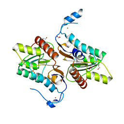 BU of 4gel by Molmil