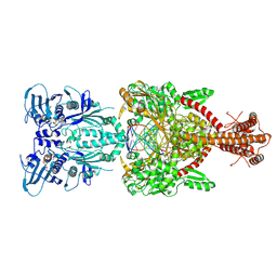 BU of 4gfh by Molmil