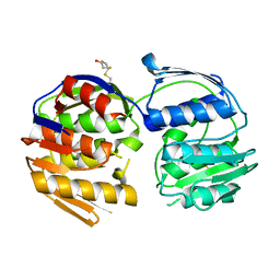 BU of 4gfp by Molmil