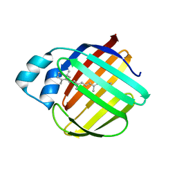 BU of 4gkc by Molmil