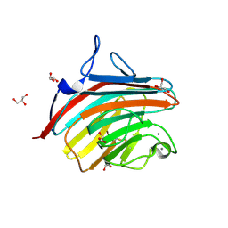 BU of 4gkx by Molmil