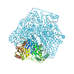 BU of 4gm1 by Molmil