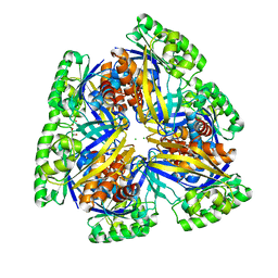 BU of 4gm6 by Molmil