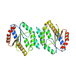 BU of 4gmd by Molmil