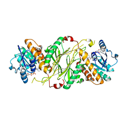 BU of 4gmg by Molmil