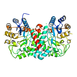 BU of 4gnv by Molmil