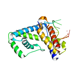 AU of 4gor by Molmil