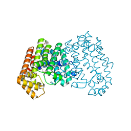 BU of 4gp1 by Molmil