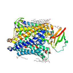 BU of 4gp4 by Molmil