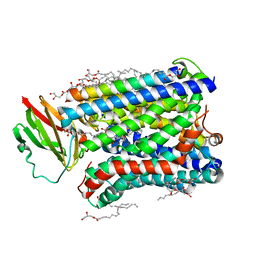 BU of 4gp5 by Molmil