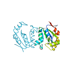 BU of 4gp6 by Molmil