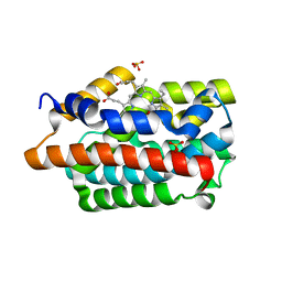 BU of 4gpc by Molmil